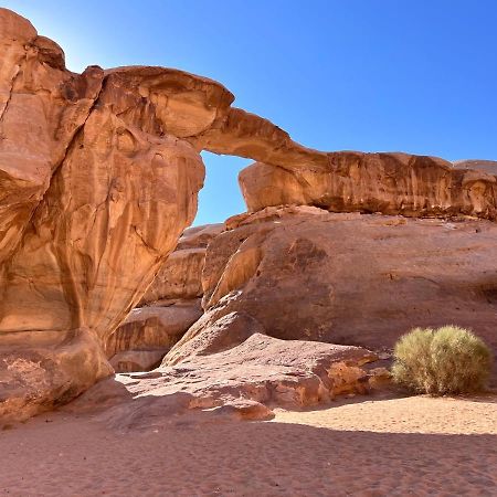 Wadi Rum Tents Exterior foto