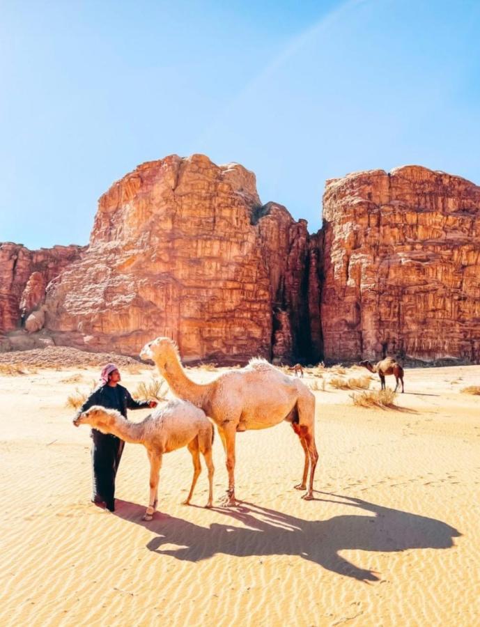 Wadi Rum Tents Exterior foto